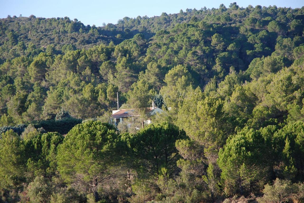 La Petite Cigale Villa Cesseras Eksteriør billede